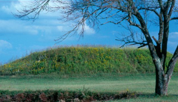 Moundville Mound