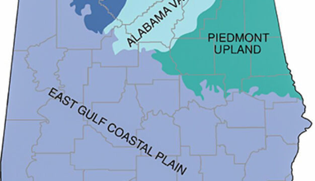East Gulf Coastal Plain Physiographic Section