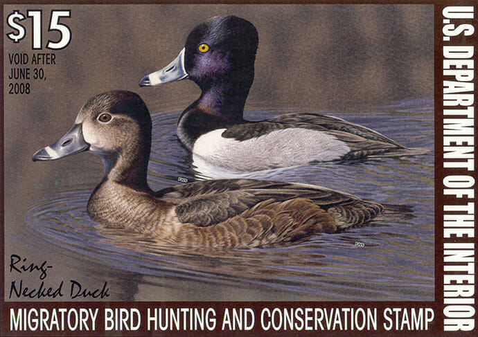 Ring-necked ducks featured on the $15 stamp as part of the U.S. Fish and Widlife Service's Migratory Bird Program conservation efforts.