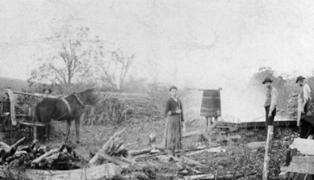 Sorghum Syrup Mill ca. 1880s