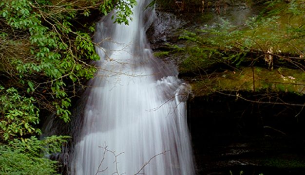 Caney Creek Falls in Bankhead National Forest