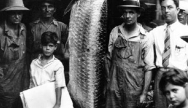 Deep Sea Fishing Rodeo, 1937