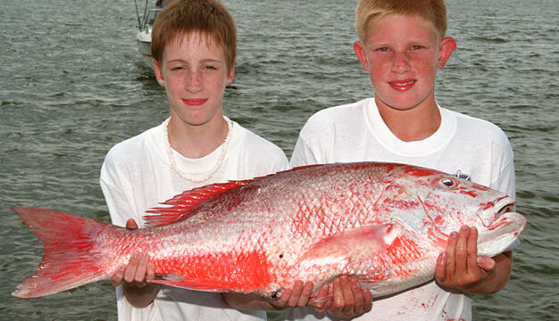 Red Snapper at Fishing Rodeo