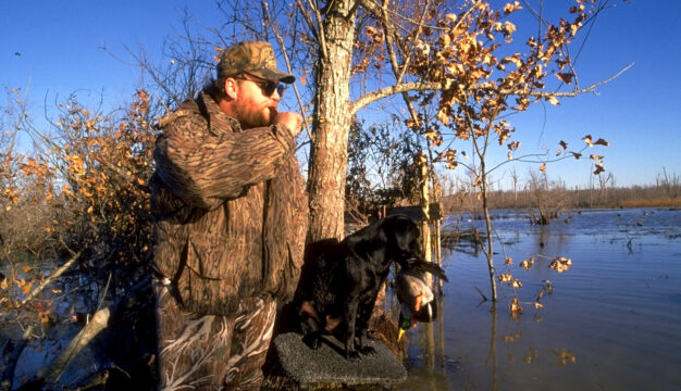 Alabama Duck Hunting