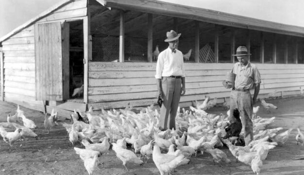 Macon County Chicken Farm 1928