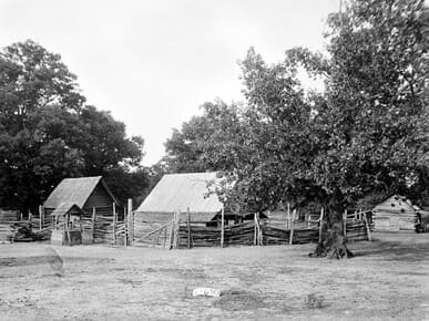 Outbuildings at Crenshaw Plantation