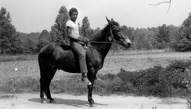 Young Man and Mule, ca. 1980