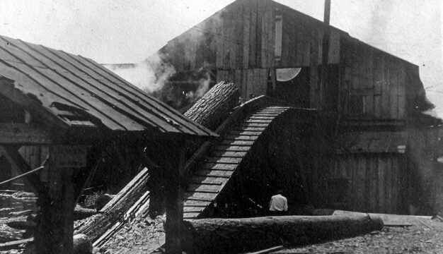 Log Entering the Sawmill