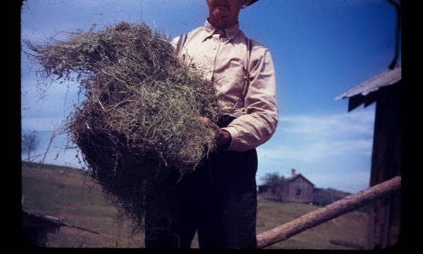Hay Produced in Calhoun County