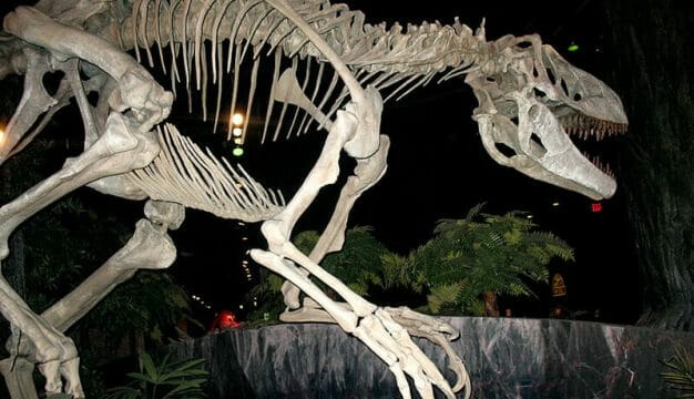 <em>Appalachiosaurus montgomeriensis</em>