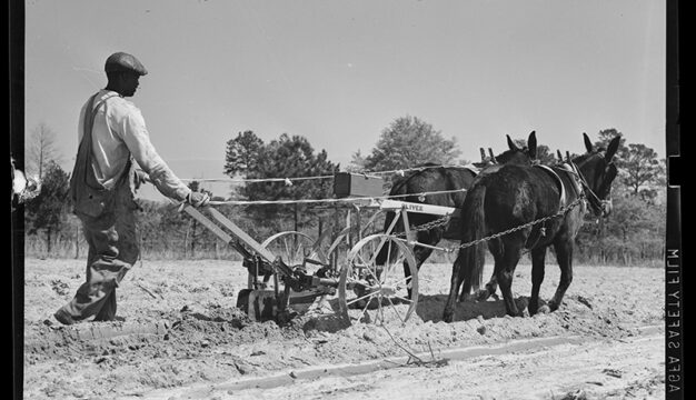 Plowing with Draft Animals in Pike County