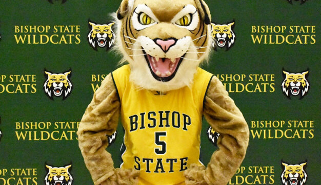 Bishop State Wildcat
