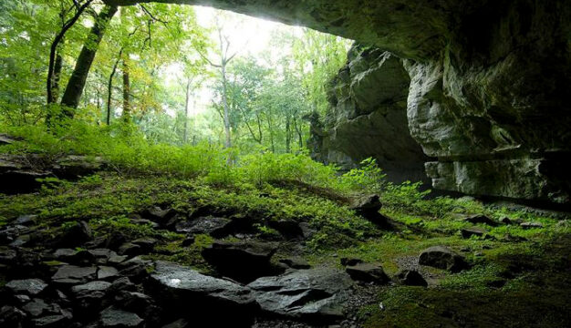 Russell Cave, Interior