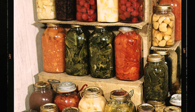 Canned Fruits and Vegetables
