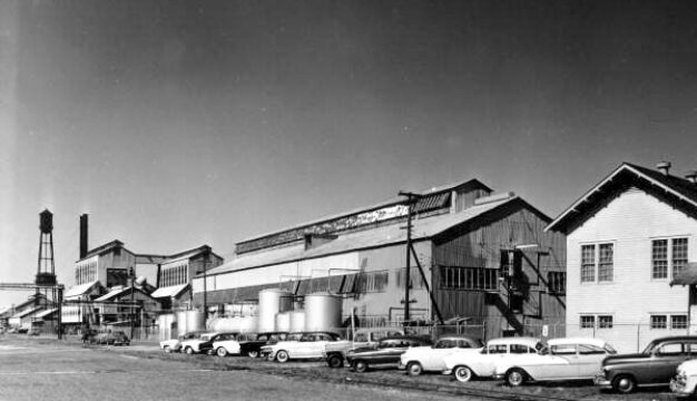 Newport Turpentine and Rosin Company, 1956