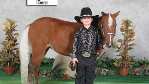 AOHA Alabama State Championship Horse Show
