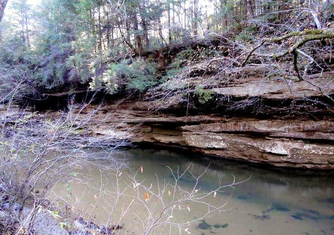 Sipsey Fork river in Alabama's Bankhead National Forest