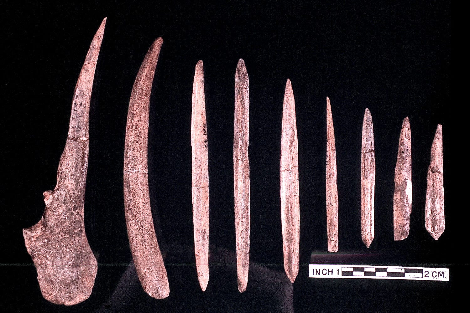 Bone-and-Antler-Tools.jpg