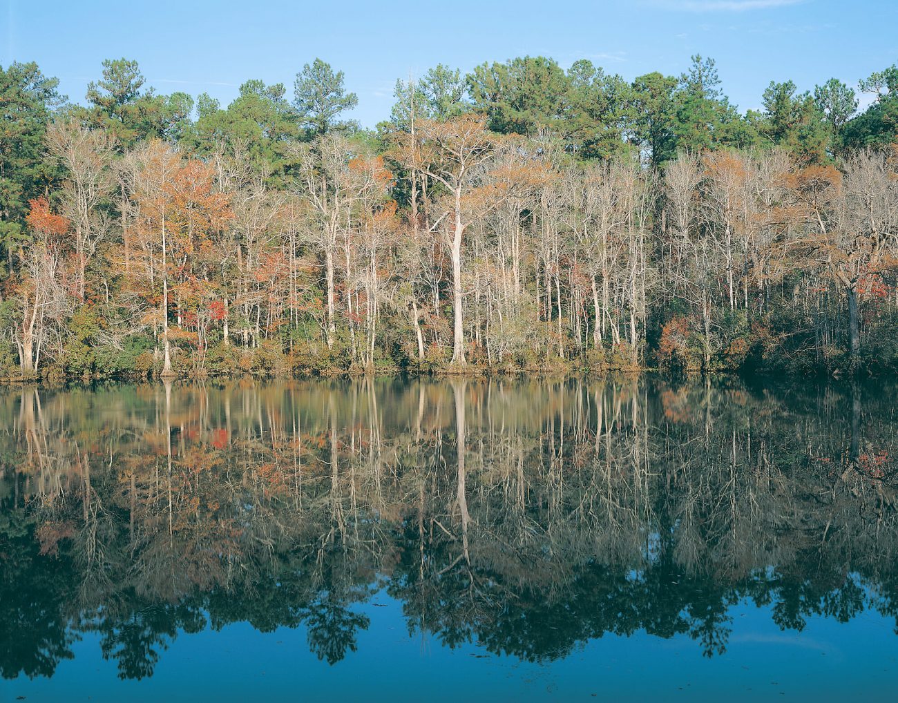 View of the Mobile-Tensaw River Delta in Alabama