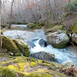 Nonprofit Land Trusts of Alabama