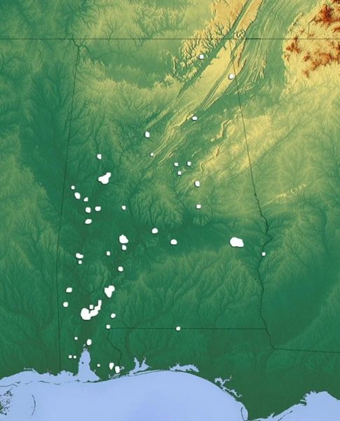 Alabama Forest Land Trust