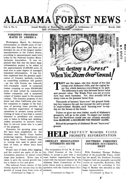 Cover of Alabama Forest News newsletter