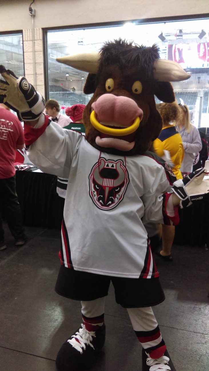 Birmingham Bulls Mascot