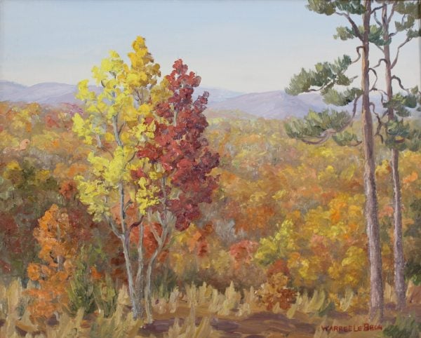 image of autumn trees